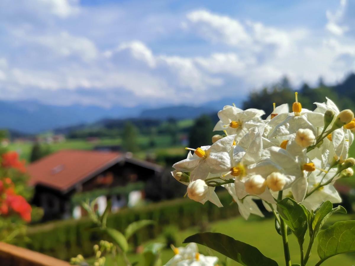 Ferienwohnung Edelweiss Bolsterlang Eksteriør billede